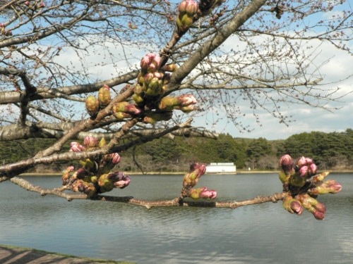 20130416_7
