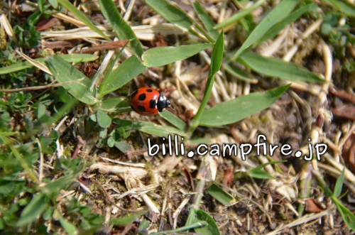 20130527_7