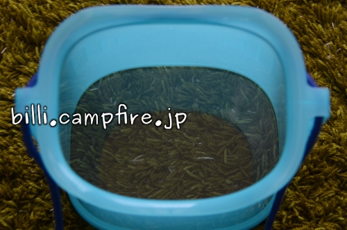 20130614_5