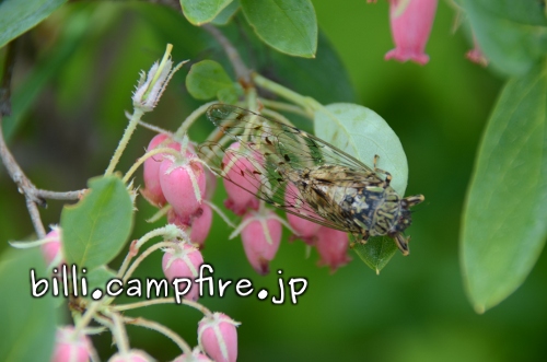 20130628_11