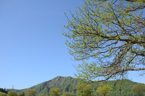 20160527_3
